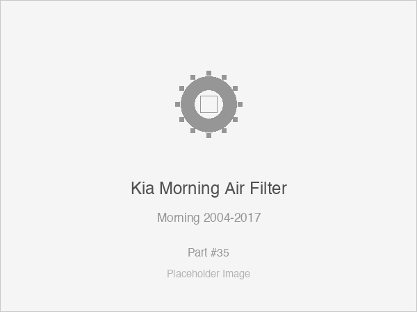 Kia Morning Air Filter